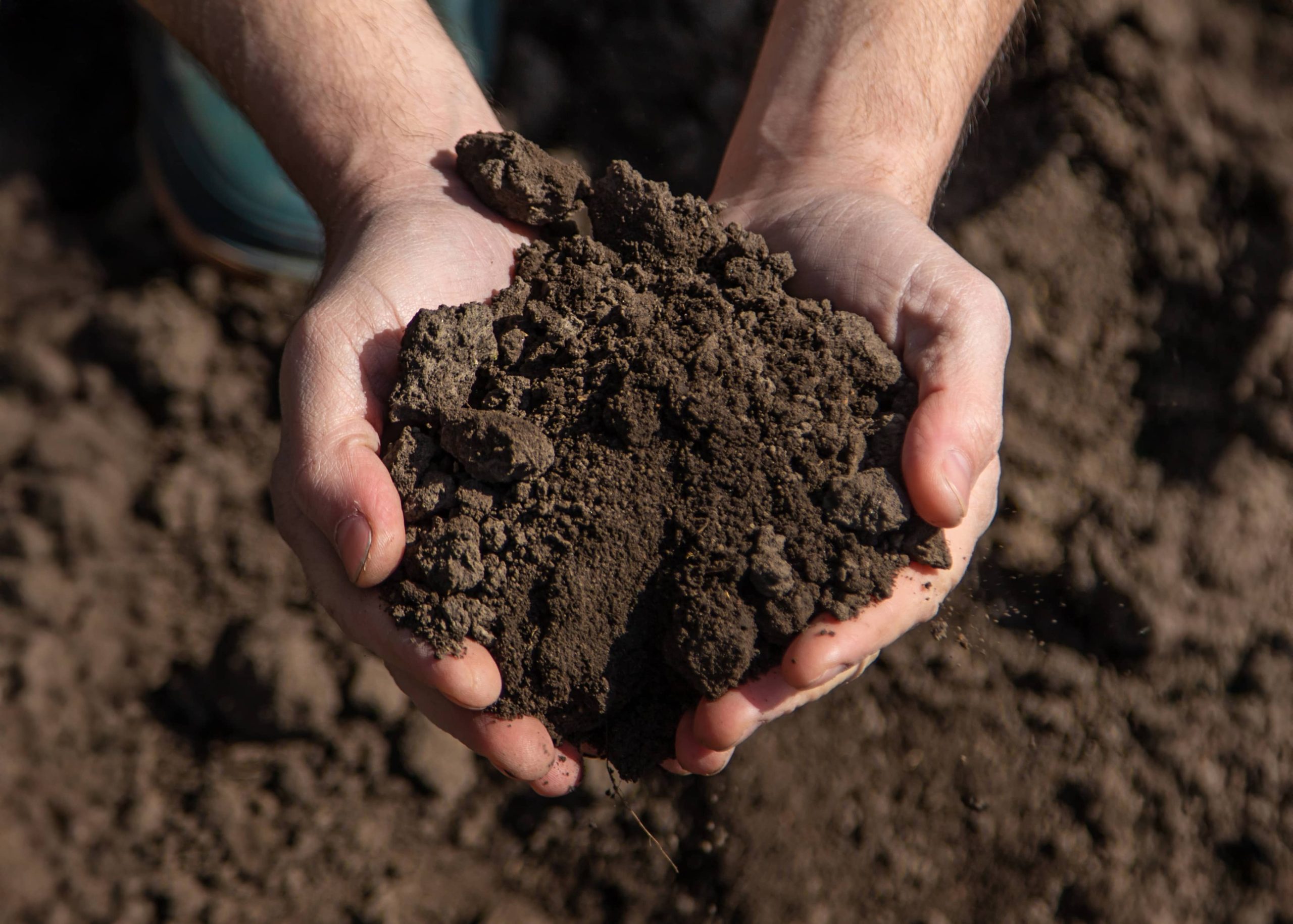 Soil Testing