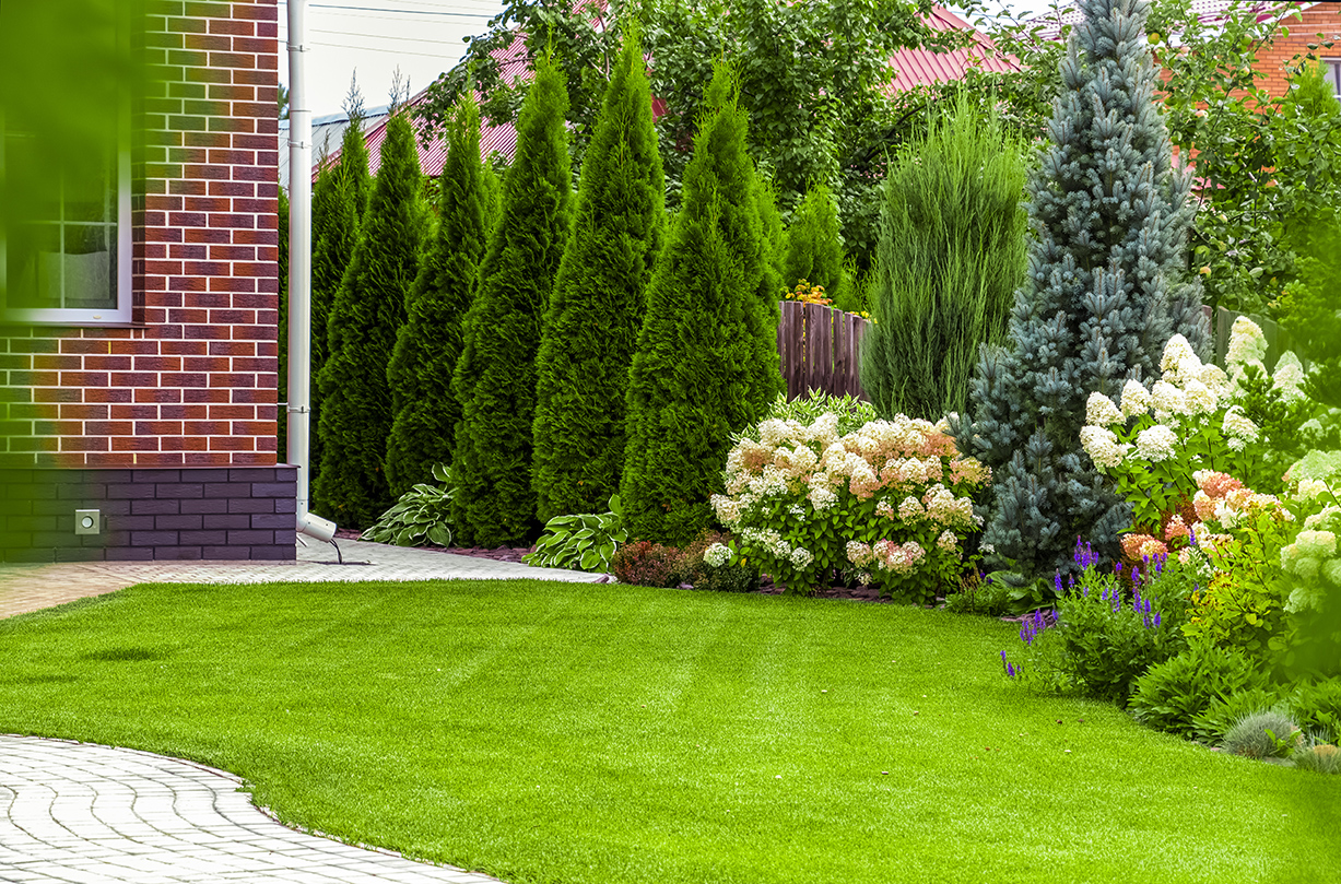 Back yard of a private house