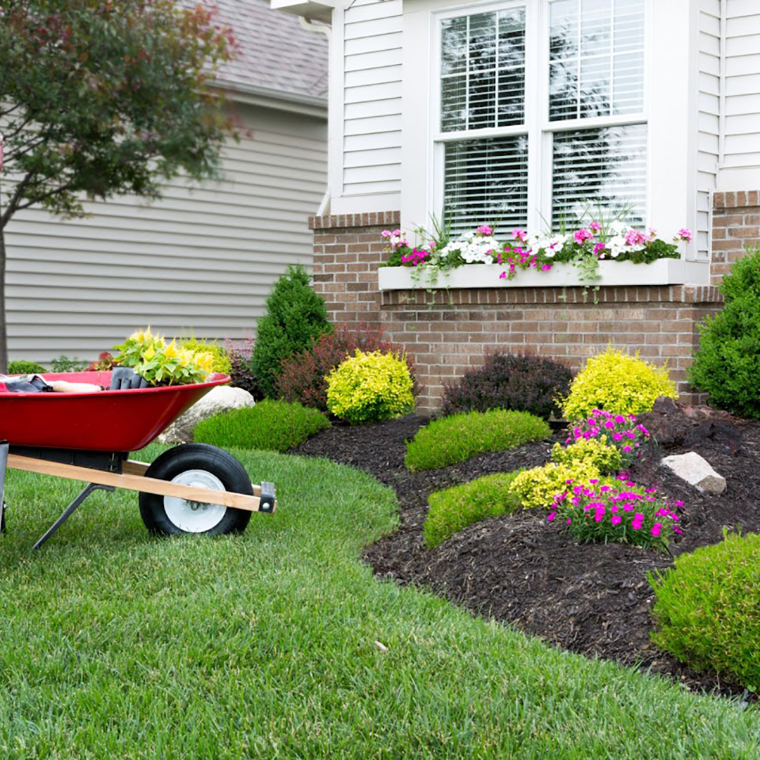 Flowerbed Weed Shield